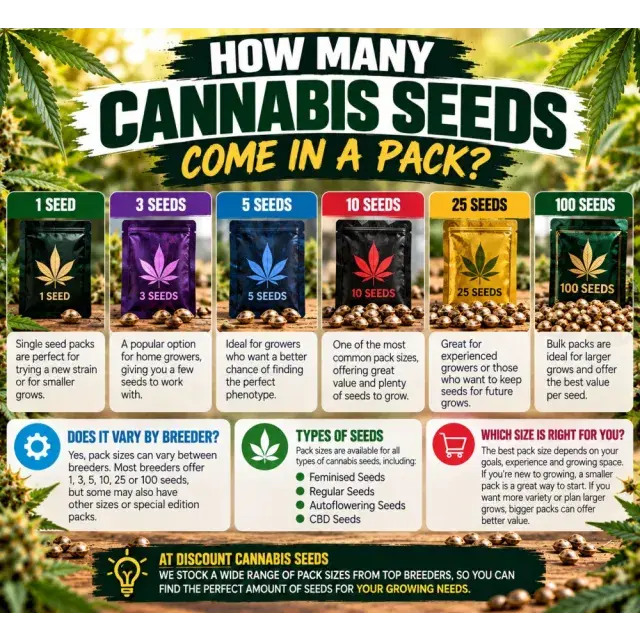 Cannabis Seeds: How Many Cannabis Seeds Come in a Pack?