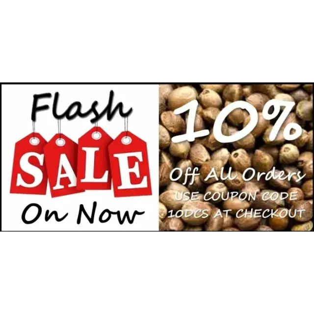 Grab Your Cannabis Seeds at Discount Cannabis Seeds Flash Sale.