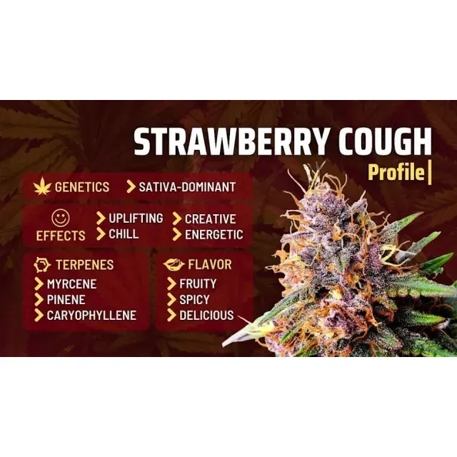 Discover How Strawberry Weed Strains Can Refresh Your Experience with Discount Cannabis Seeds.
