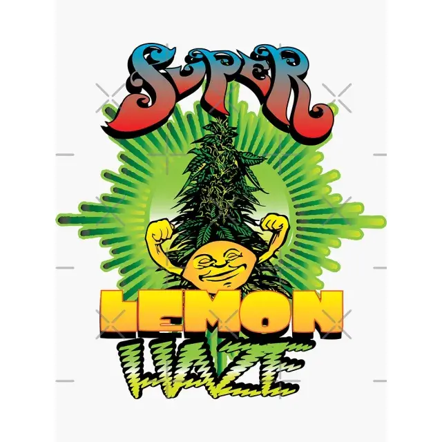 Super Lemon Haze Cannabis Seeds: The Complete Guide.