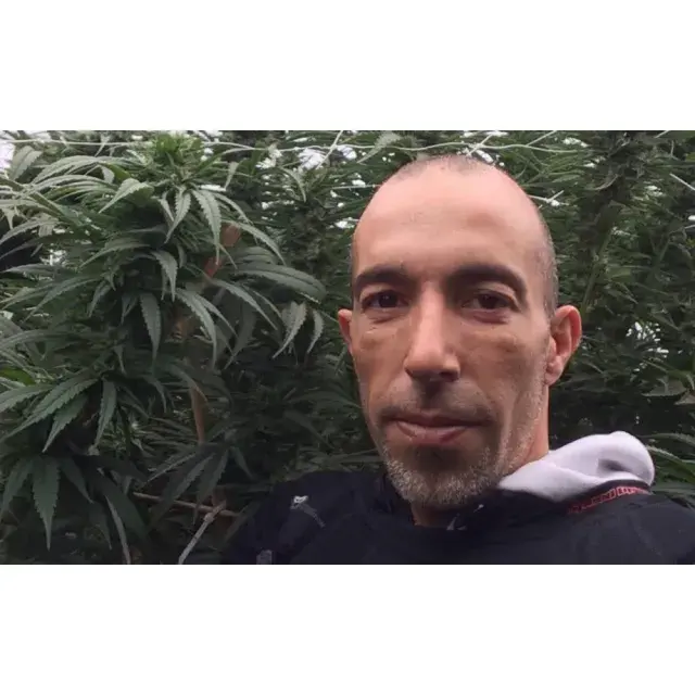 Cannabis Seeds - The Legend - Franco Loja