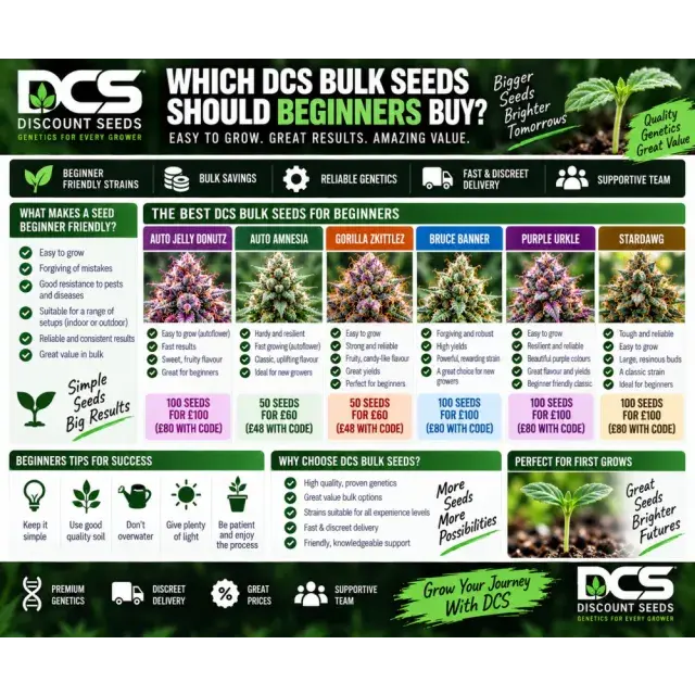 Cannabis Seeds: Which DCS Bulk Seeds Should Beginners Buy?