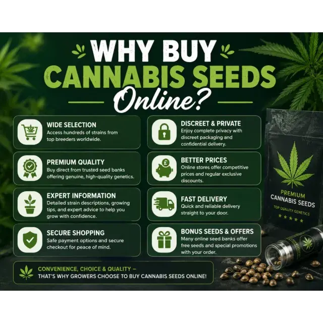 Cannabis Seeds: Why Buy Cannabis Seeds Online?