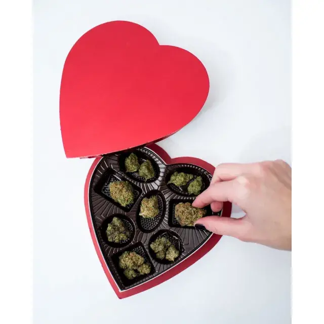 Unlocking Romance: Choosing the Ideal Cannabis Seeds for Your Valentine.