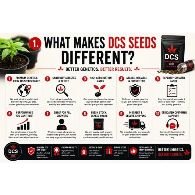 Cannabis Seeds: What Makes DCS Cannabis Seeds Different?
