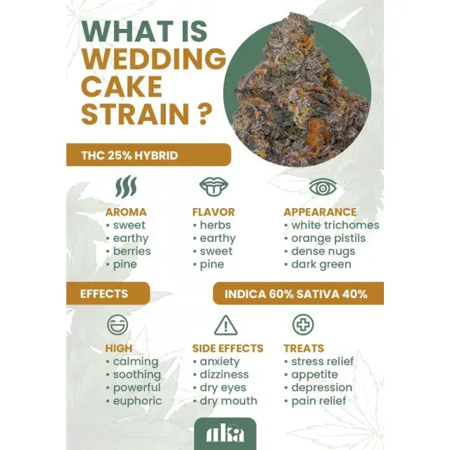 Why Discount Cannabis Seeds is the Perfect Choice for Wedding Cake Seeds