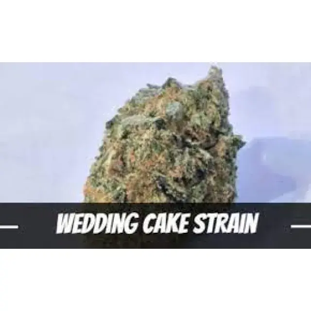 Discount Cannabis Seeds: Your Ideal Source for Wedding Cake Seeds.