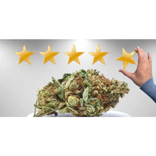 Verschiedene Cannabissorten entdecken: Wie high kann man mit günstigen Cannabissamen werden?