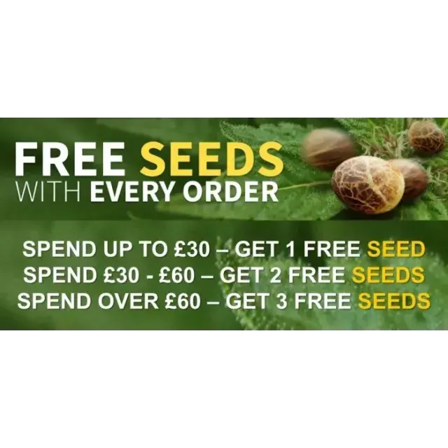 The Advantages of Receiving Free Cannabis Seeds with Every Order at Discount Cannabis Seeds.