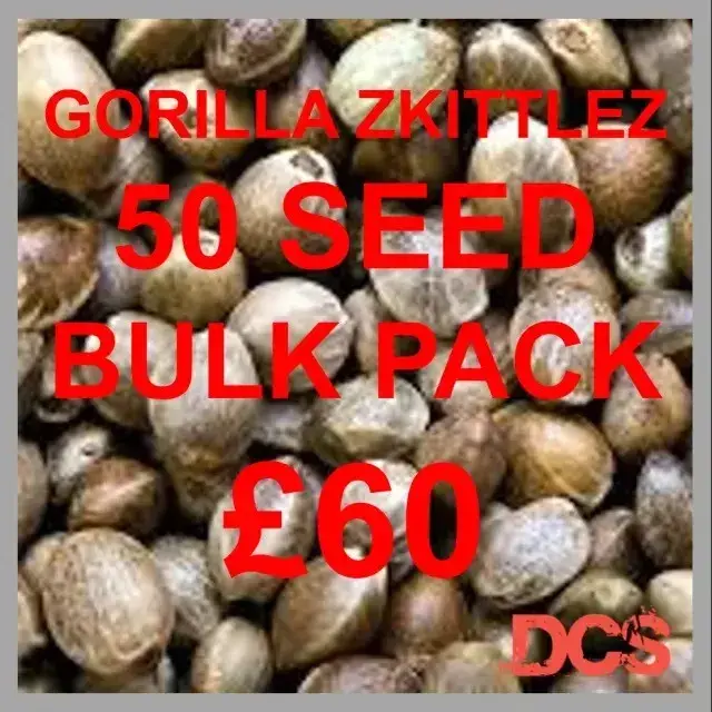 Our Best-Selling 50-Pack Gorilla Zkittlez Bulk Cannabis Seeds.
