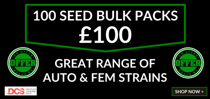 100 Seed Bulk Packs - Discount Cannabis Seeds