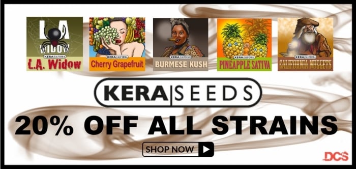 Kera Seeds - Discount Cannabis Seeds