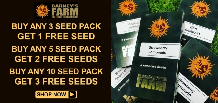 Barneys Farm Free Seeds