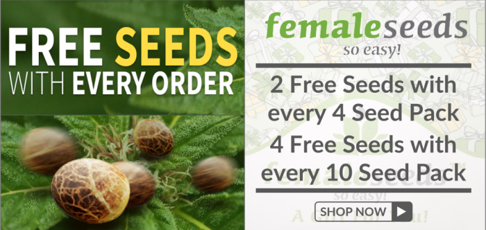 Free Female Seeds - Discount Cannabis Seeds
