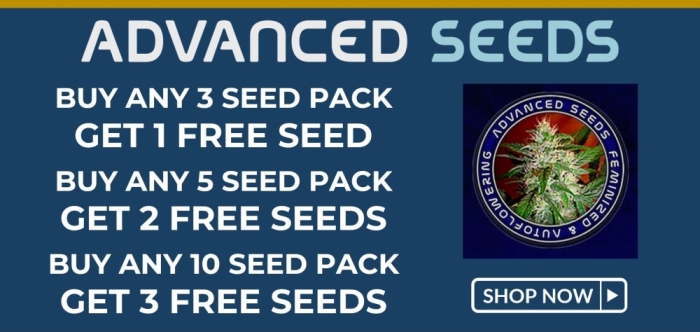 Free Advanced Seeds
