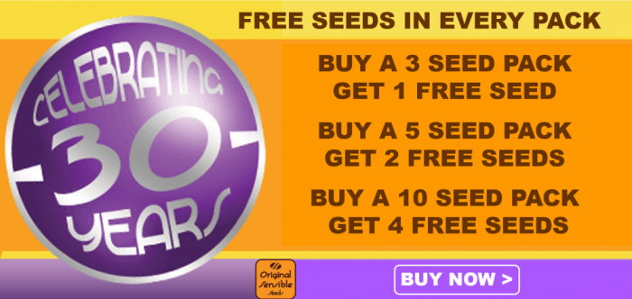 Free OSSC Seeds - Discount Cannabis Seeds