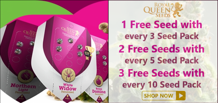 Royal Queen Seeds - Discount Cannabis Seeds
