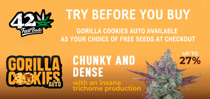 Gorilla Cookies Auto - Discount Cannabis Seeds