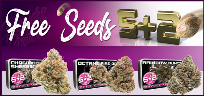 Growers Choice - Discount Cannabis Seeds