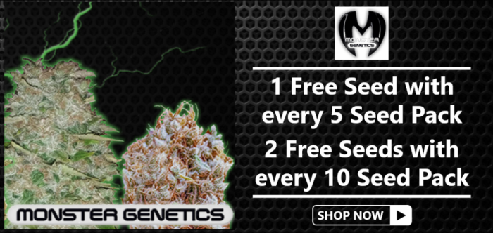 Free Monster Genetics Seeds - Discount Cannabis Seeds