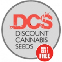 We Are Here To Help - Discount Cannabis Seeds.