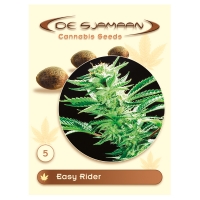 Easy Rider Regular Cannabis Seeds