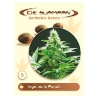 Ingemar's Punch Regular Cannabis Seeds
