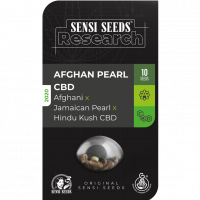 Afghan Pearl CBD Auto Feminised Cannabis Seeds - Sensi Seeds Research