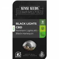 Black Lights CBD Auto Feminised Cannabis Seeds - Sensi Seeds Research