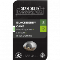 Blackberry Cake Feminised Cannabis Seeds - Sensi Seeds Research