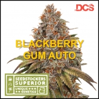 Blackberry Gum Auto Cannabis Seeds | Seed Stockers