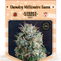 Chemdog Millionaire Guava Feminised Cannabis Seeds | Garden of Green