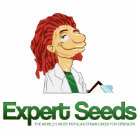 Gelato Feminised Cannabis Seeds | Expert Seeds