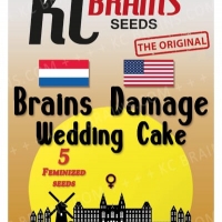 Brains Damage Wedding Cake Feminised Cannabis Seeds | KC Brains Seeds