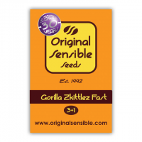 Gorilla Zkittlez FAST Feminised Cannabis Seeds | Original Sensible Seeds