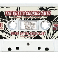 Fat Pete's Cookies Auto Feminised Cannabis Seeds - Super Sativa Seed Club