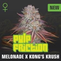Pulp's Friction Feminised Cannabis Seeds | Greenhouse Seeds
