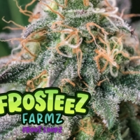  Froot Loopz Feminised Cannabis Seeds - Frosteez Farmz