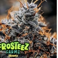 Znapple Feminised Cannabis Seeds - Frosteez Farmz