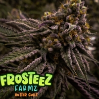 Butter Cupz Feminised Cannabis Seeds - Frosteez Farmz