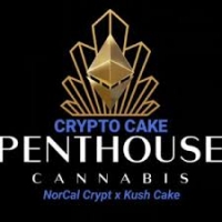 Auto Crypto Cake Feminised Cannabis Seeds - Penthouse Cannabis Co.