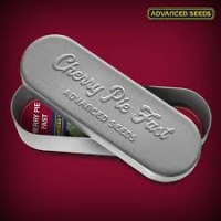 Cherry Pie Fast Feminised Cannabis Seeds | Advanced Seeds 