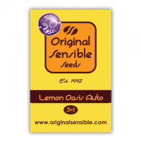 Lemon Oasis Auto Feminised Cannabis Seeds | Original Sensible Seeds