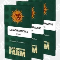 Lemon Drizzle Feminised Cannabis Seeds | Barney's Farm 