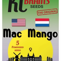 Mac Mango Feminised Cannabis Seeds | KC Brains Seeds