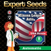 Mimosa Lemon Auto Feminised Cannabis Seeds | Expert Seeds