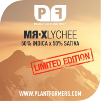 MR-X Lychee Regular Cannabis Seeds | Plantformers