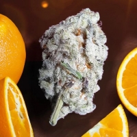 Orange Bud 2.0 Feminised Cannabis Seeds | Dutch Passion 