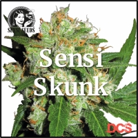 Sensi Skunk Feminised Cannabis Seeds | Sensi Seeds 