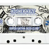 Kosher Haze Feminised Cannabis Seeds - Super Sativa Seed Club